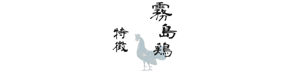 霧島鶏の特徴